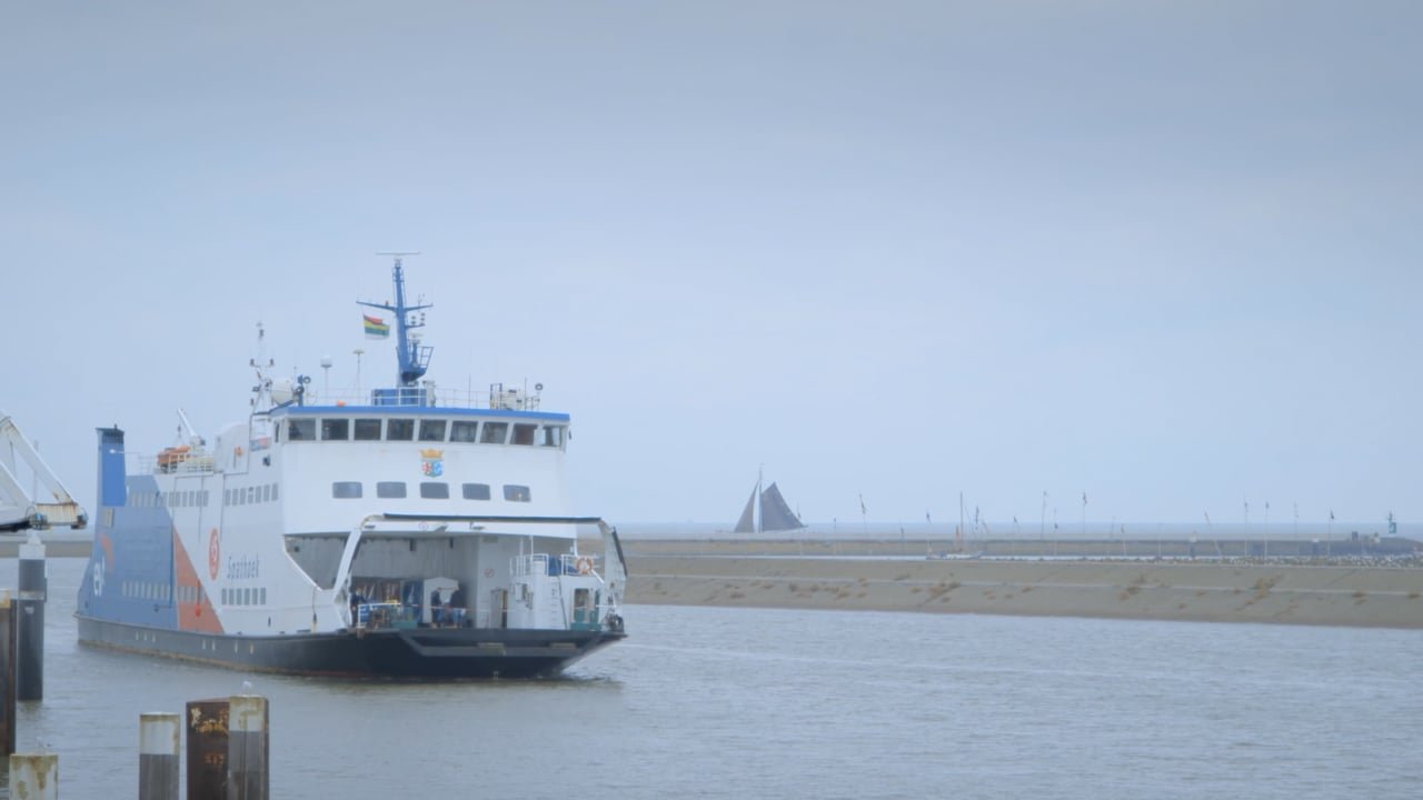 vimeo-1188111618.jpg