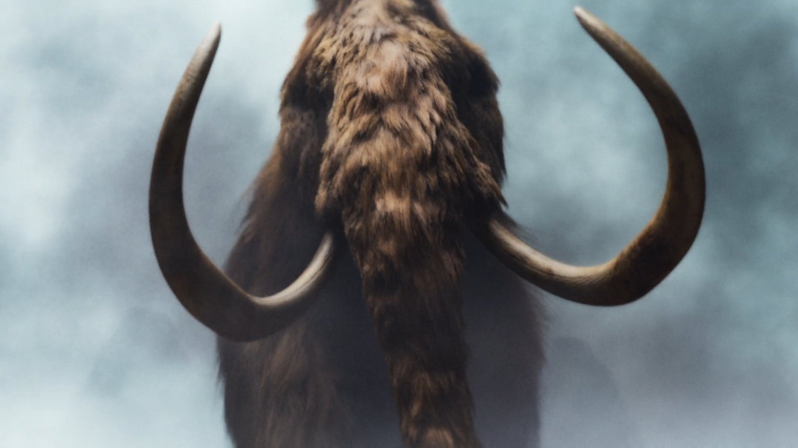 vs-mammothmeatballvideosmoviesonvimeo-0-05--1778505267.jpg